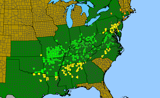 The range of Triosteum angustifolium